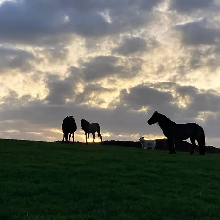 Ferme Equestre Des Esprits Sauvages Luksusowy namiot *